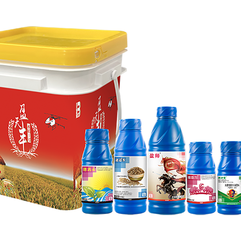 盈天豐?(水稻1號(hào))